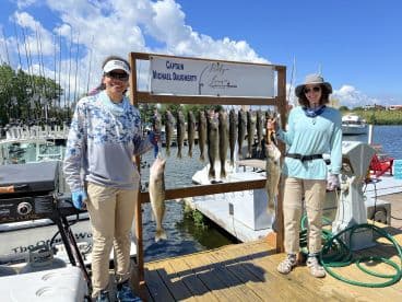 Two anglers proudly displaying their catch of multiple Walleye on a sunny day at the dock, showcasing a successful fishing trip.