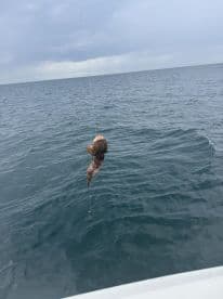A fish is being reeled in during a fishing trip on open waters, showcasing the excitement of the catch.
