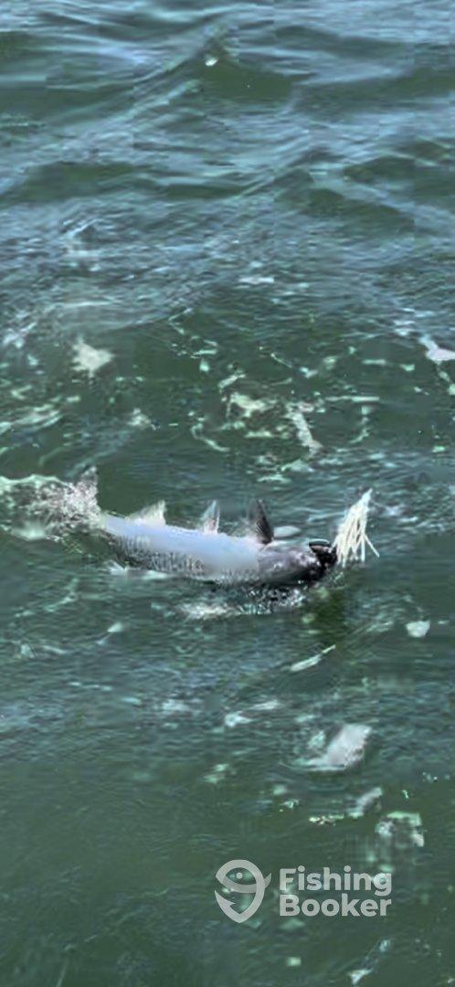 Captain Paul’s Charter Rock’n’Reel