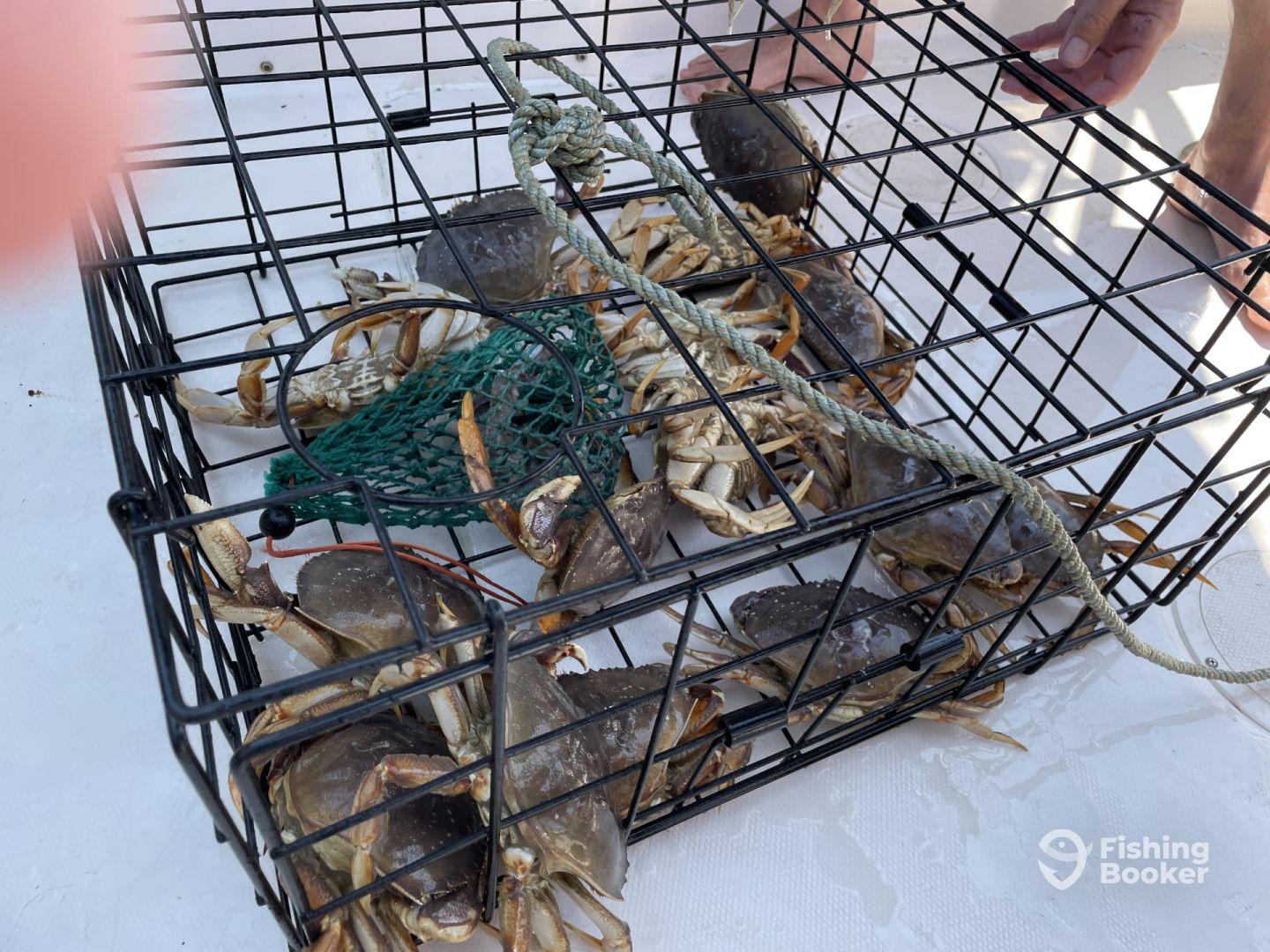 Captain Paul’s Charter Rock’n’Reel