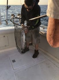 Angler actively reeling in a fish using a net aboard a fishing boat, with a scenic ocean backdrop during sunset.
