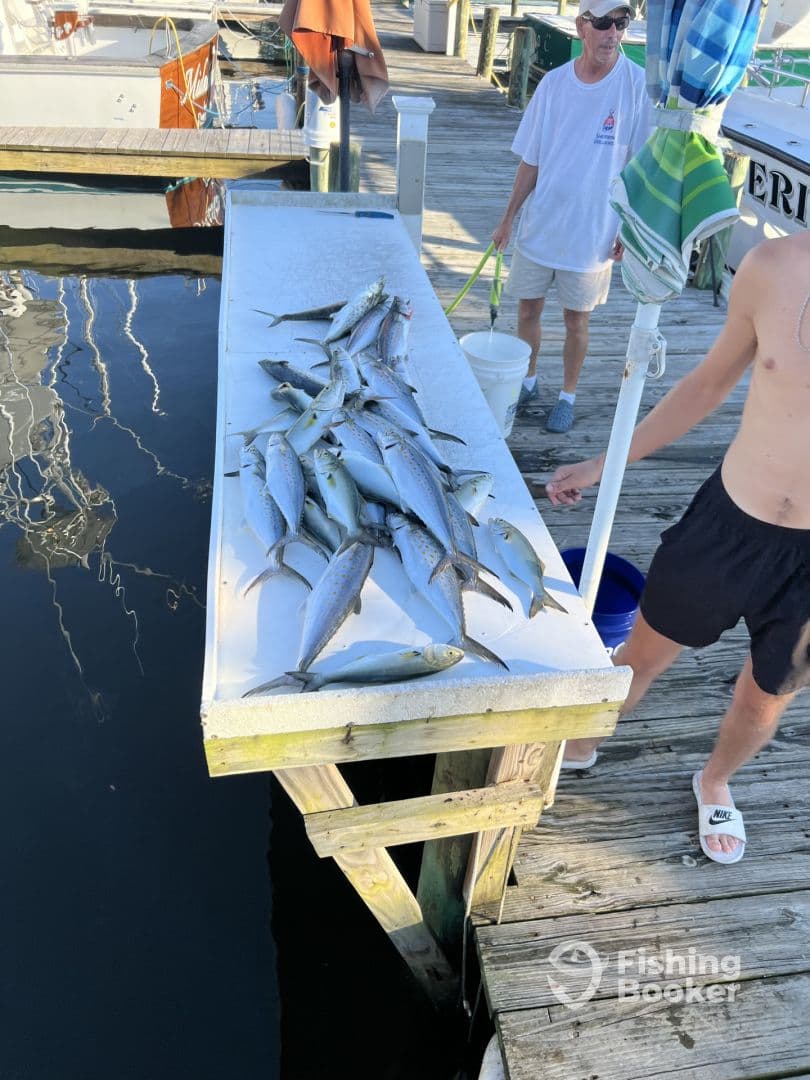 A variety of fish displayed on a cleaning table at the dock, with two individuals present, showcasing a successful fishing trip.