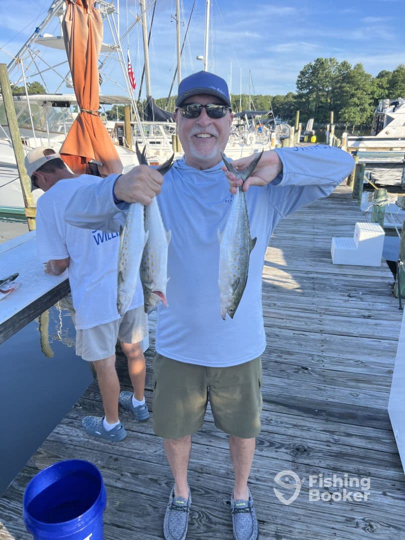 An angler proudly displaying three Spanish Mackerel at the dock after a successful fishing trip.