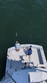 A group of anglers on a boat engaged in fishing, with one person reeling in a fish while others assist, showcasing an exciting moment on the water.
