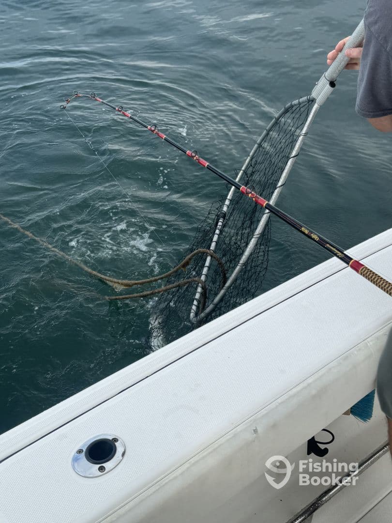An angler actively reeling in a catch while using a net on a fishing boat, showcasing the excitement of the fishing experience.