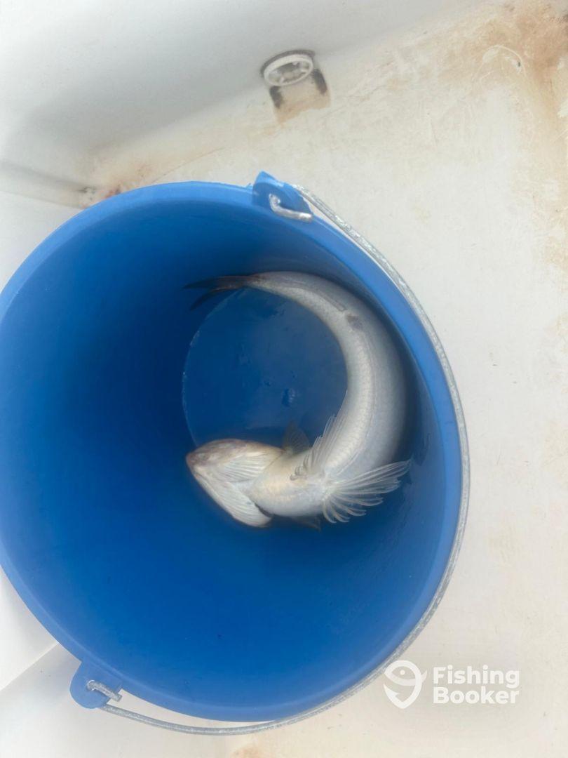 Started slow but finished strong. 