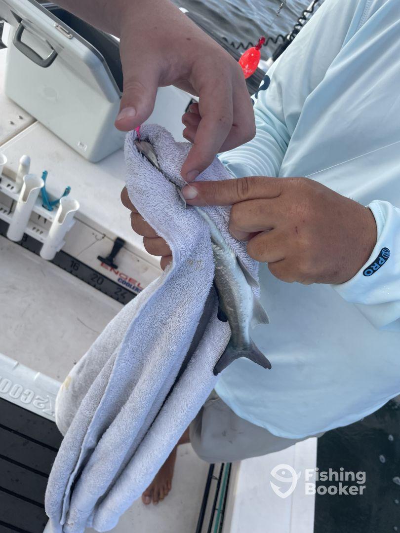 Great day with a great captain