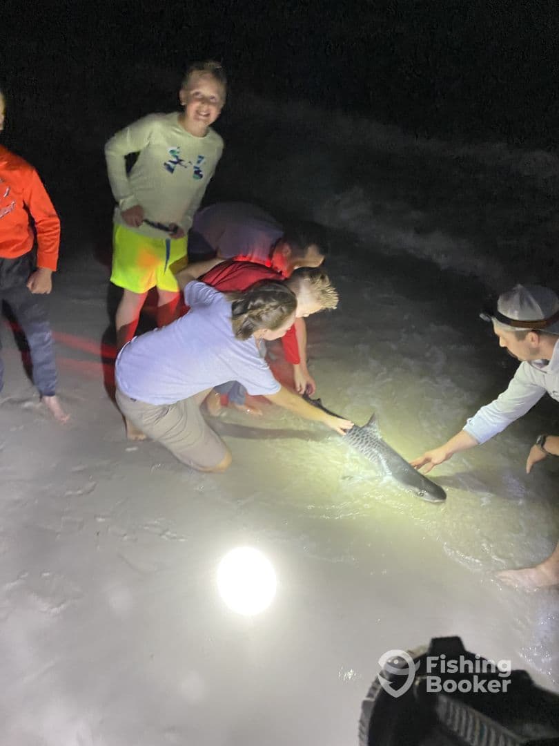 A group of young anglers excitedly handling a shark on the beach at night, showcasing a thrilling fishing experience.