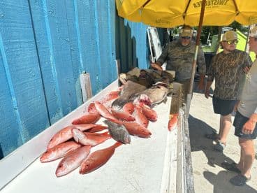 A variety of fish, including Red Snapper, displayed on a cleaning table at a dock, with anglers discussing their catch.