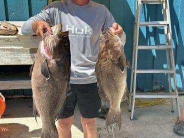 An angler proudly displaying two large Grouper caught during a fishing trip, showcasing their successful catch at the dock.
