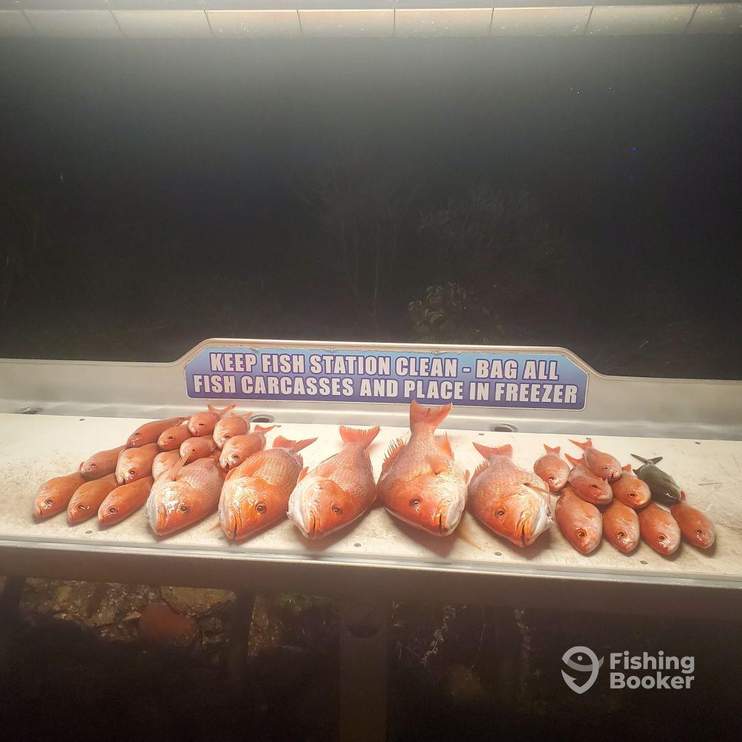 Great Afternoon fishing with All Out Fishing Crew.