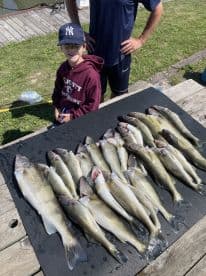 A young boy stands proudly beside a neatly arranged catch of Walleye on a display board at the dock, showcasing a successful fishing trip.