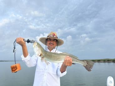 Angler proudly displaying a large Speckled Trout while fishing in a calm coastal environment.