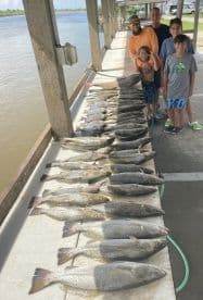 A group of anglers displaying a large catch of Speckled Trout on a dock after a successful fishing trip.