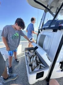 A young angler examines a cooler filled with freshly caught speckled trout while on a fishing trip.