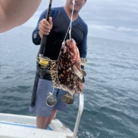 An angler reeling in a colorful Scad fish while fishing on a boat, showcasing the excitement of the catch in open waters.