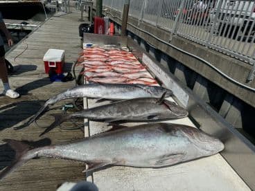 A variety of fish including Snapper and Grouper displayed on a cleaning table at the dock, showcasing a successful fishing trip.