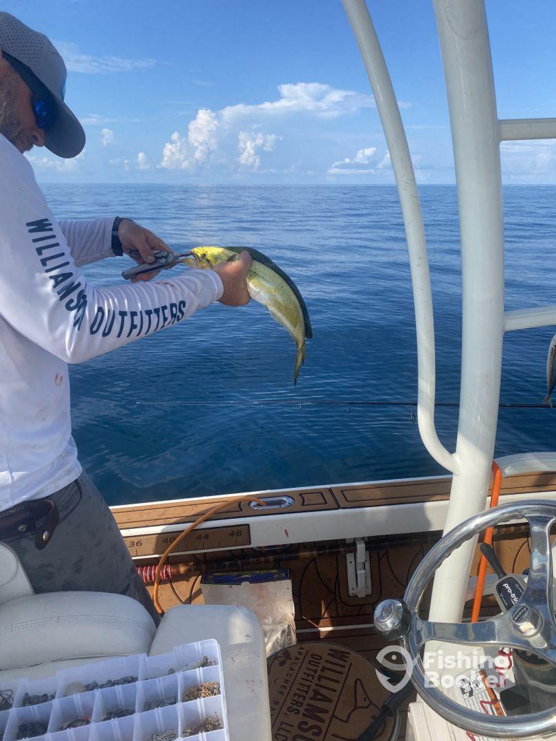 Best trip we have had! 