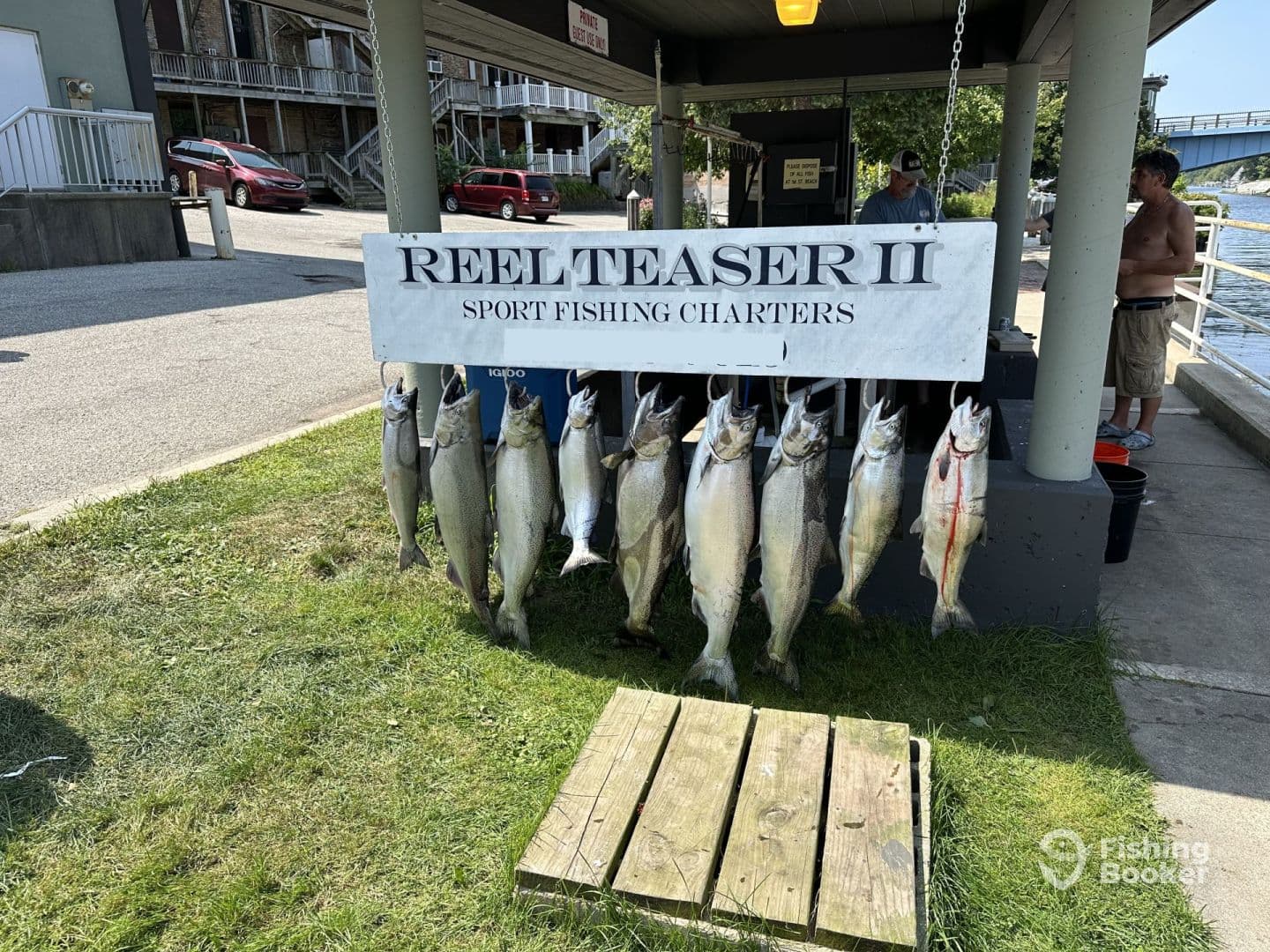 A display of freshly caught fish, including several large trout, hanging on a board at the Reel Teaser II Sport Fishing Charters location.