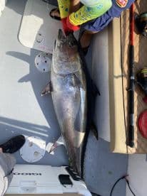 A young angler is reeling in a large Tuna on a fishing charter, showcasing the excitement of deep-sea fishing.