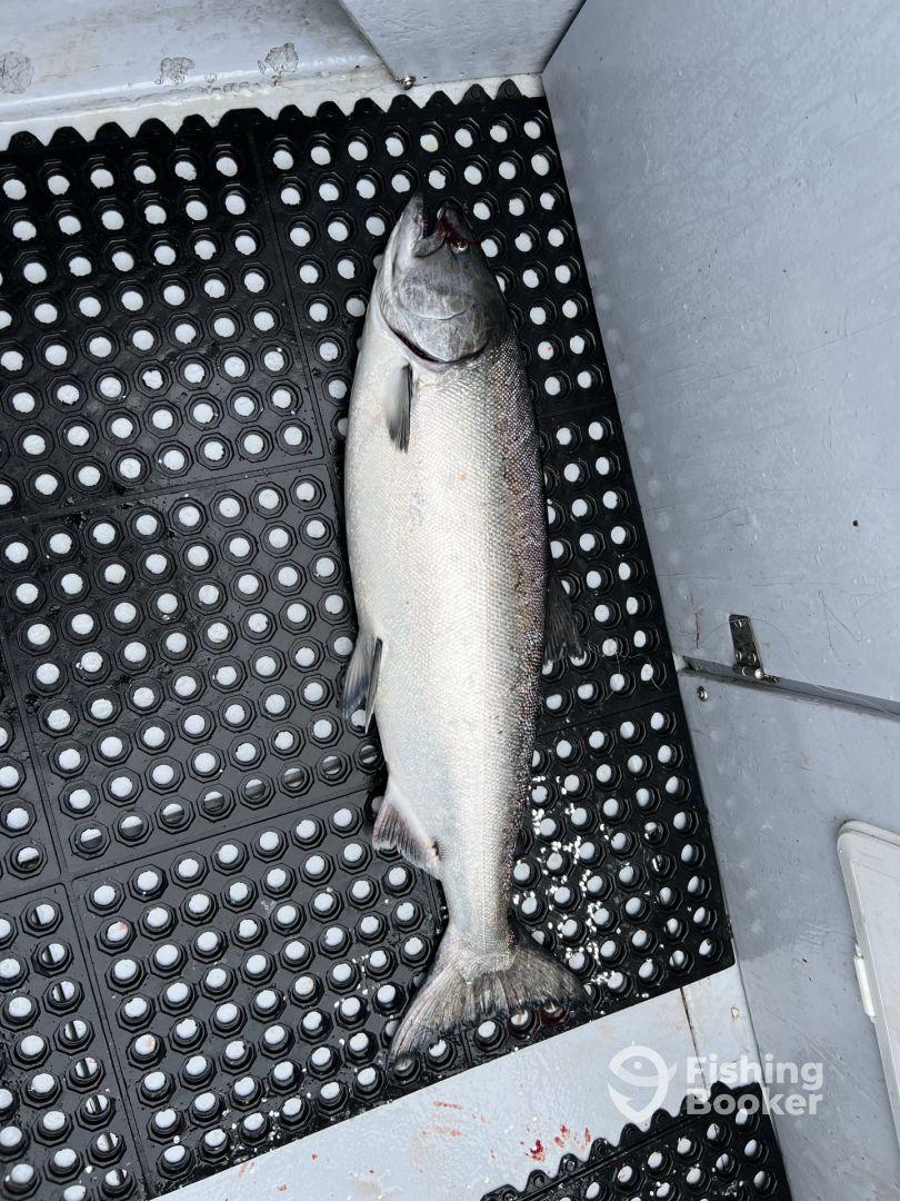 Friendly to first time anglers 