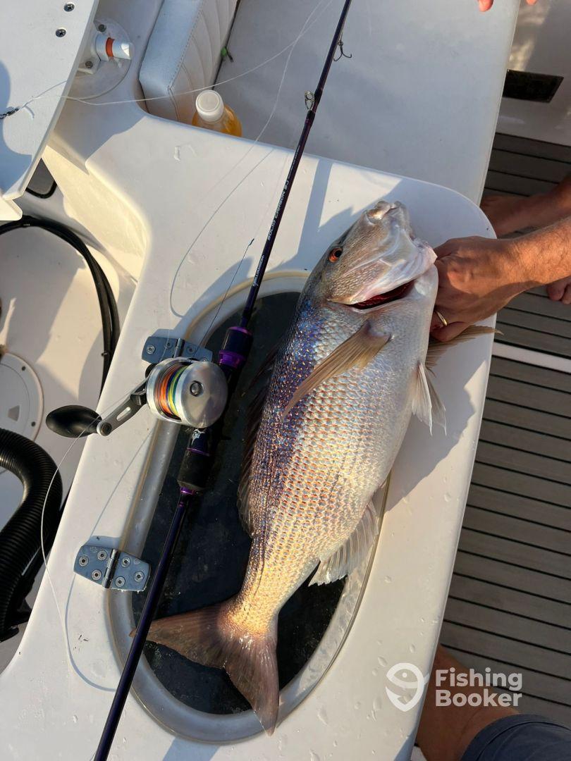 Bottom fishing/trolling in Medulin