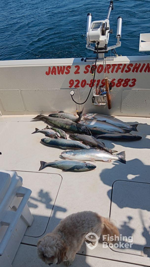 A variety of fish displayed on the deck of a sportfishing boat, showcasing a successful fishing trip.