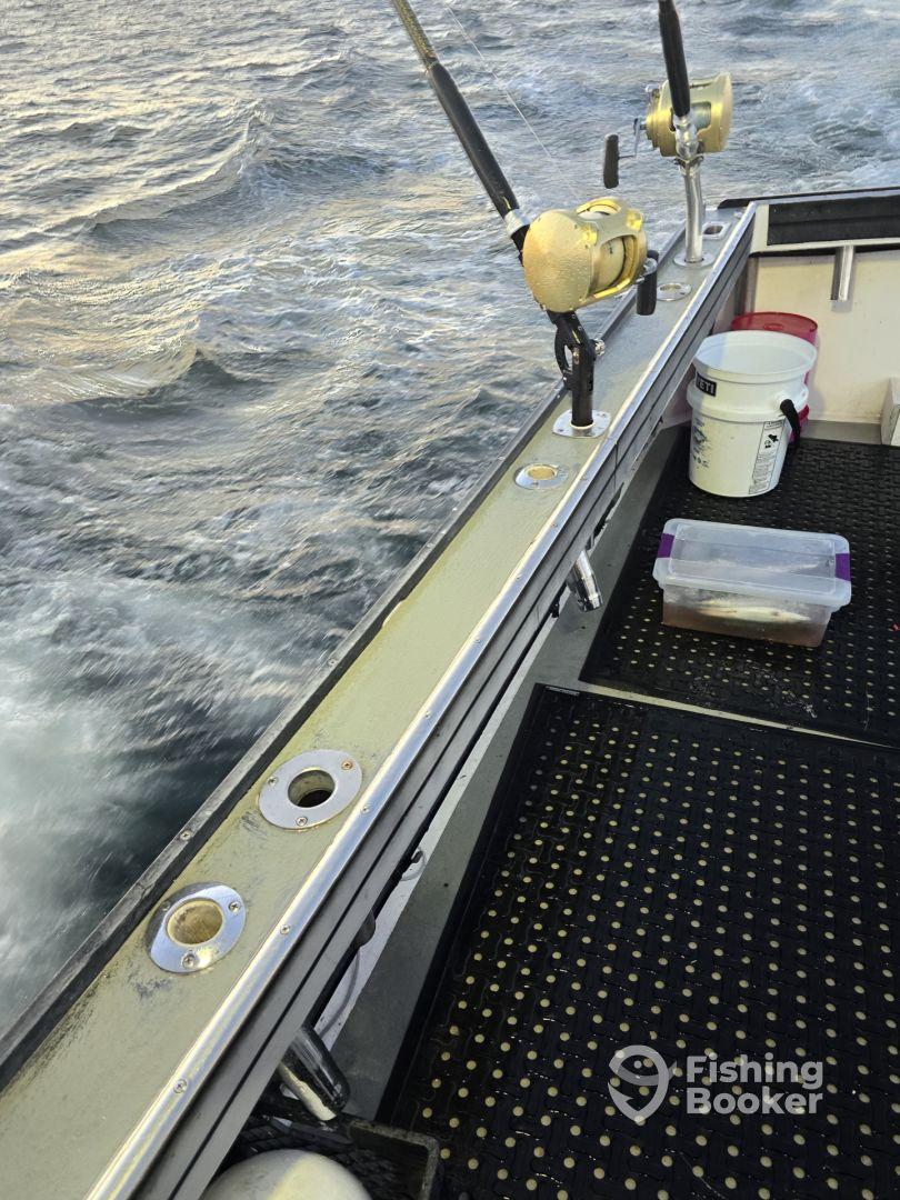 600 pound 112" Bluefin Tuna