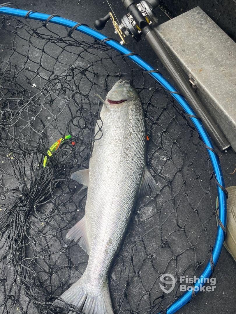 A sizable fish, likely a trout, displayed on a fishing boat's deck, showcasing the catch of the day.