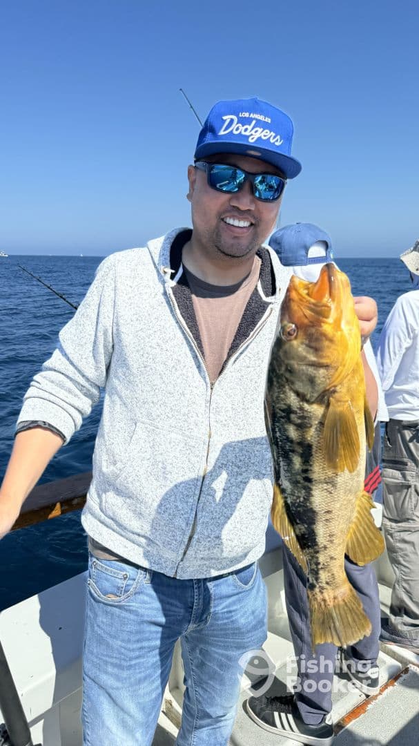 An angler proudly displaying a large Black Sea Bass while fishing on a boat in open waters.
