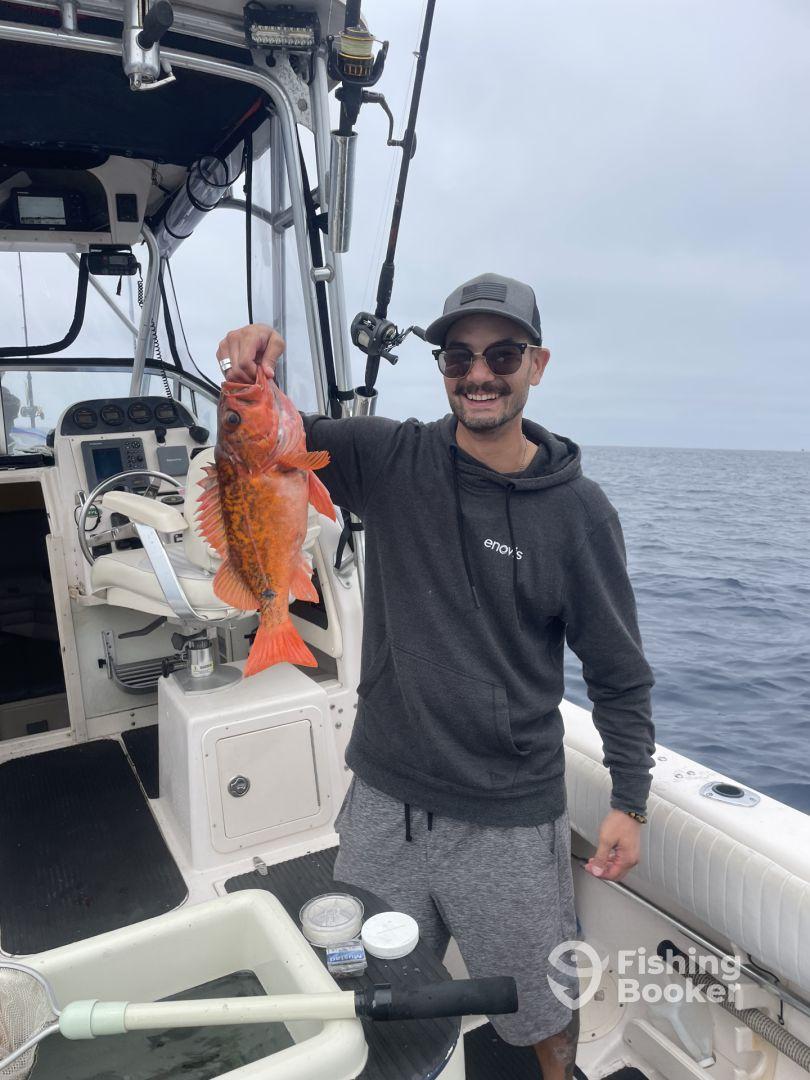 10 Stars if you could give 10