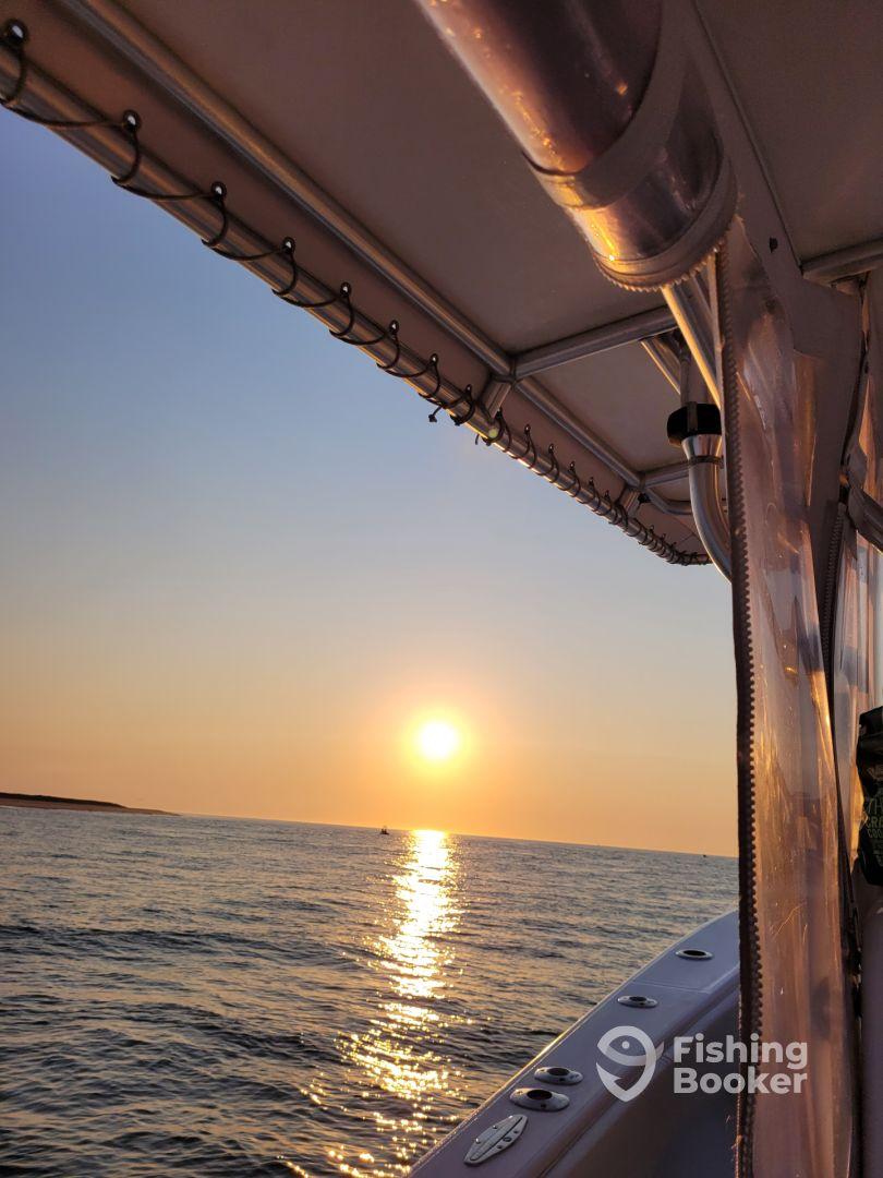 Got us on the fish. 4 keeper strippers and a couple Bonito's.