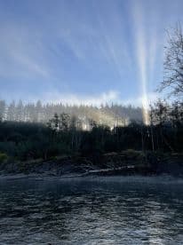 A serene view of a misty riverbank surrounded by trees, capturing the tranquil atmosphere of early morning fishing conditions.