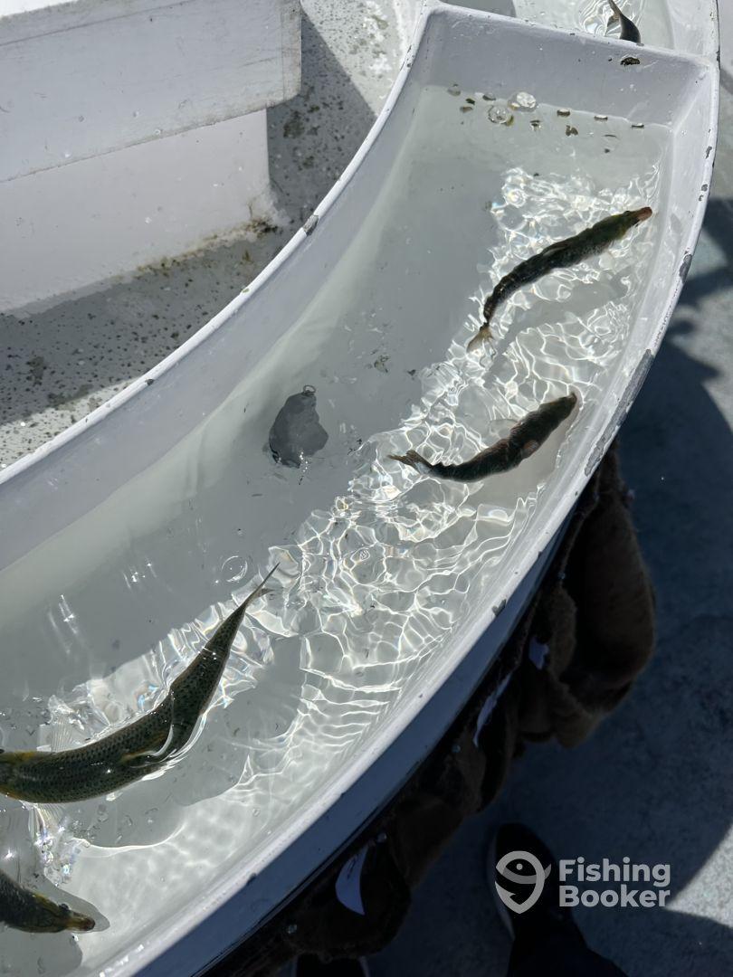 September fishing trip