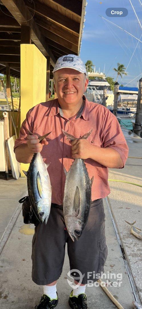 Yellow Tail Tuna and Baracuda