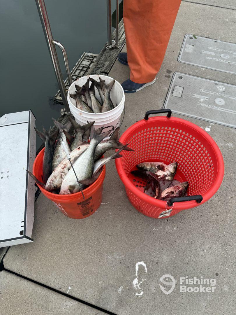 Great crew. Great time! 