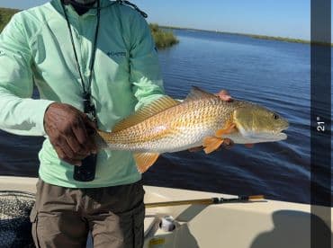 An angler proudly displaying a 21-inch Redfish while fishing in a serene waterway.