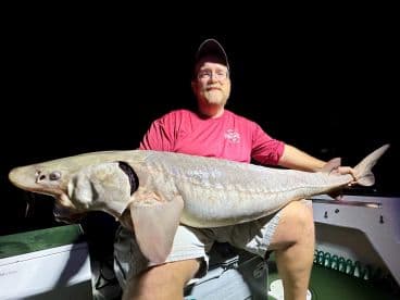 Angler proudly displaying a large Sturgeon while fishing at night on a boat.