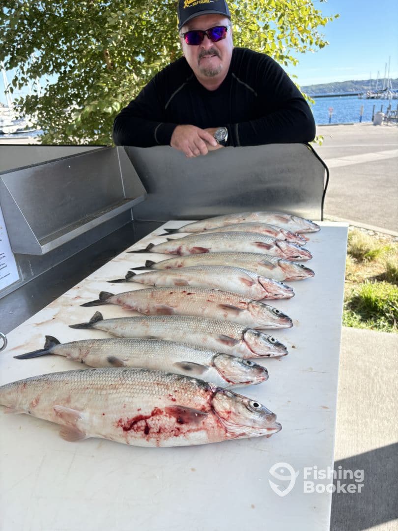 A fisherman proudly displays a catch of multiple freshly caught fish on a cleaning table at the marina, showcasing a successful day on the water.