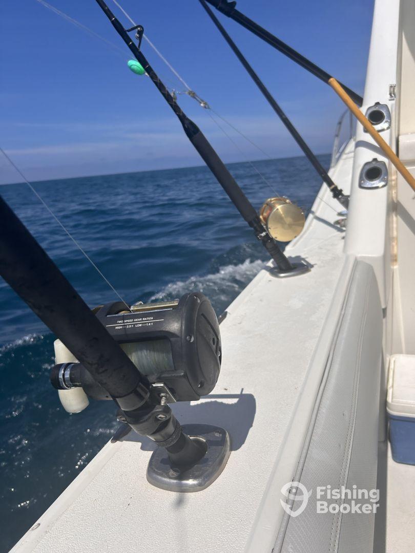 A pleasant afternoon