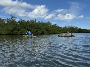 Two anglers fishing from kayaks in a mangrove-lined waterway, showcasing a serene fishing environment.