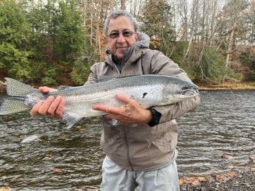 An angler proudly displaying a large Steelhead trout caught in a scenic river setting during the fall season.