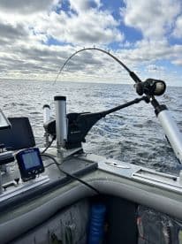 Fishing action shot showing a bent rod on a boat, indicating a fish is on the line in open water.