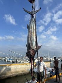 A group of anglers proudly displaying a large Blue Marlin caught during a fishing trip, with a marina backdrop.