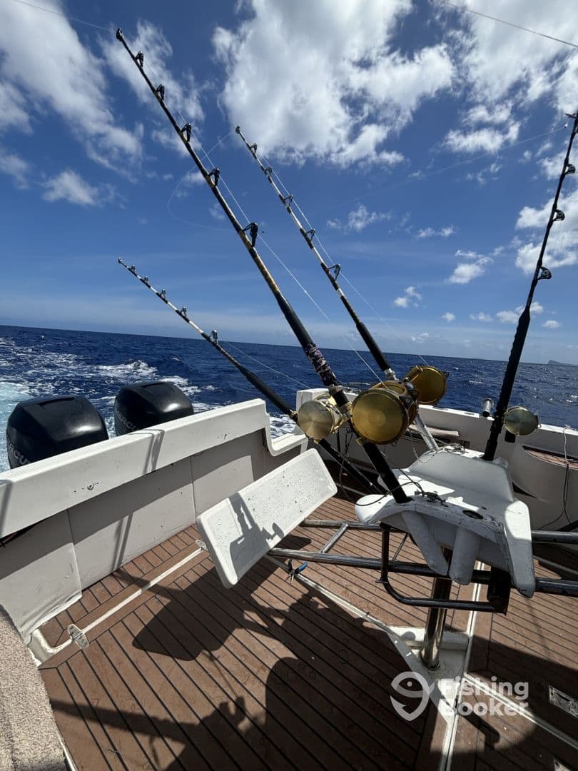 Interior view of a fishing boat showcasing the seating and rod holders, with a clear blue ocean in the background.
