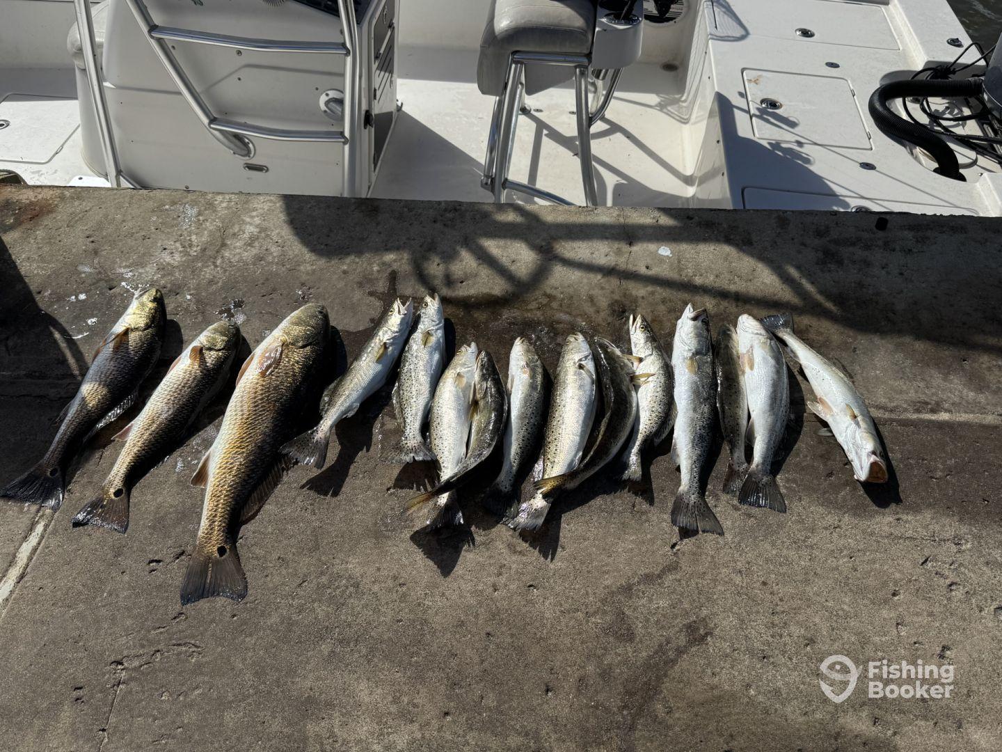 Repeat customer, says it all! 