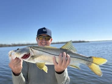 Angler proudly displaying a large Snook while fishing in a scenic waterway, showcasing a beautiful day on the water.