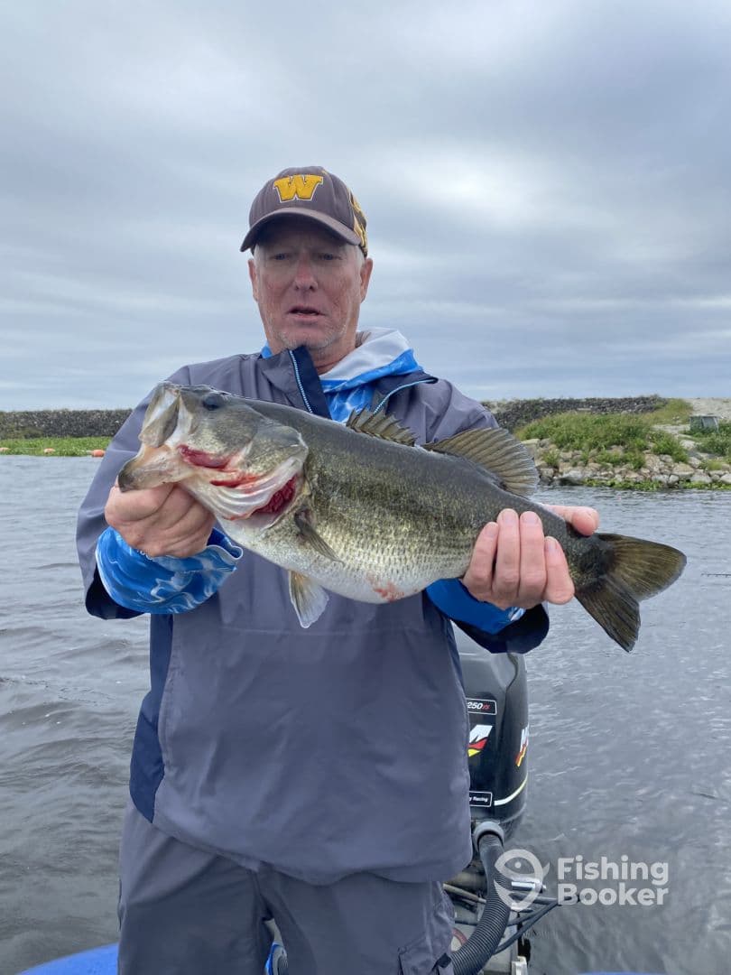 Angler proudly displaying a large Largemouth Bass while fishing on a calm lake, showcasing a successful day on the water.