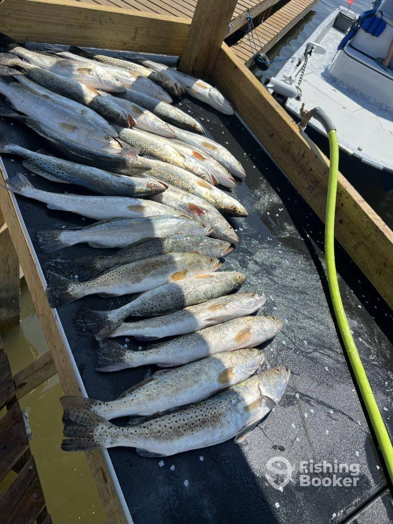 Bay trip with Captain Jason!