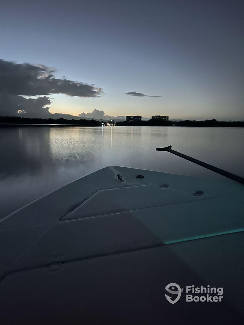 Truly a wonderful experience 